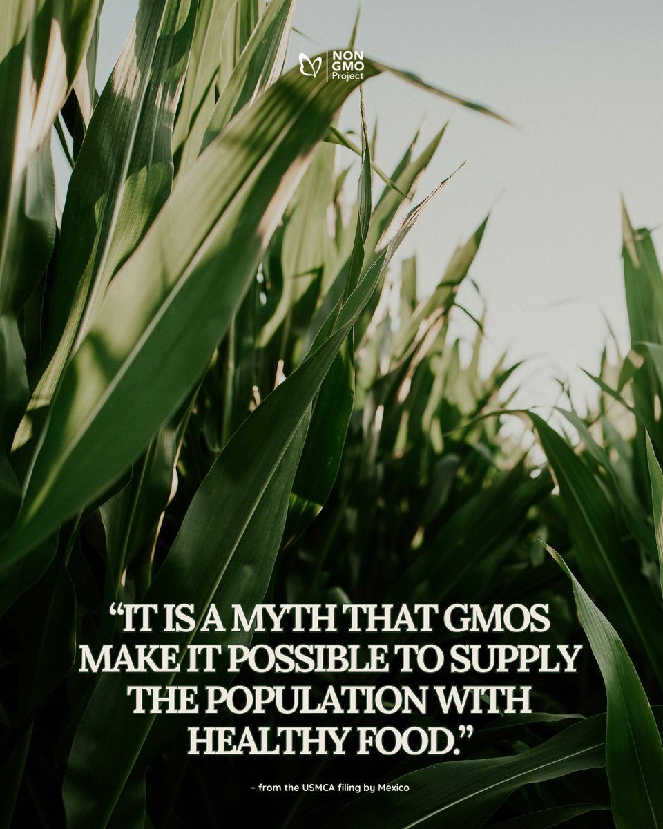 💡 Despite the myth that GMOs “feed the world,” GMO systems are designed to produce large quantities of ultra-processed food. In the grocery store, GMO corn typically ends up as high-fructose syrups and oils.