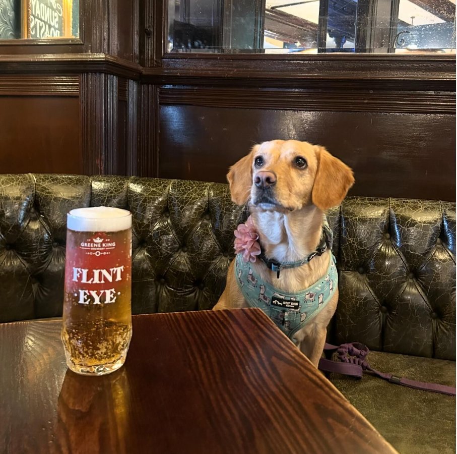 🐾 Happy #nationalpetday 🐾 So many of our bars, shops and restaurants in Wimbledon Town Centre are pet-friendly, if you are in town grab a photo with your furry friend! #dogsofwimbledon #cats #pets #wimbledon