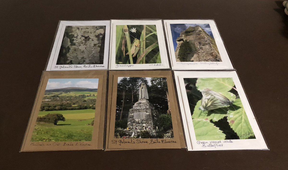 A small selection of the range of blank greeting cards available for purchase. They feature local historical and archaeological sites as well as domestic animals and nature. Small €4 and large €5. Free postage on orders of €20 or more. 0872231225