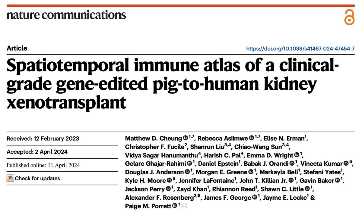 FINALLY OUT! Our work using spatial and single-cell transcriptomics to characterize the human immune response in pig-to-human kidney xenotransplantation is now published @NatureComms 🧵 nature.com/articles/s4146…