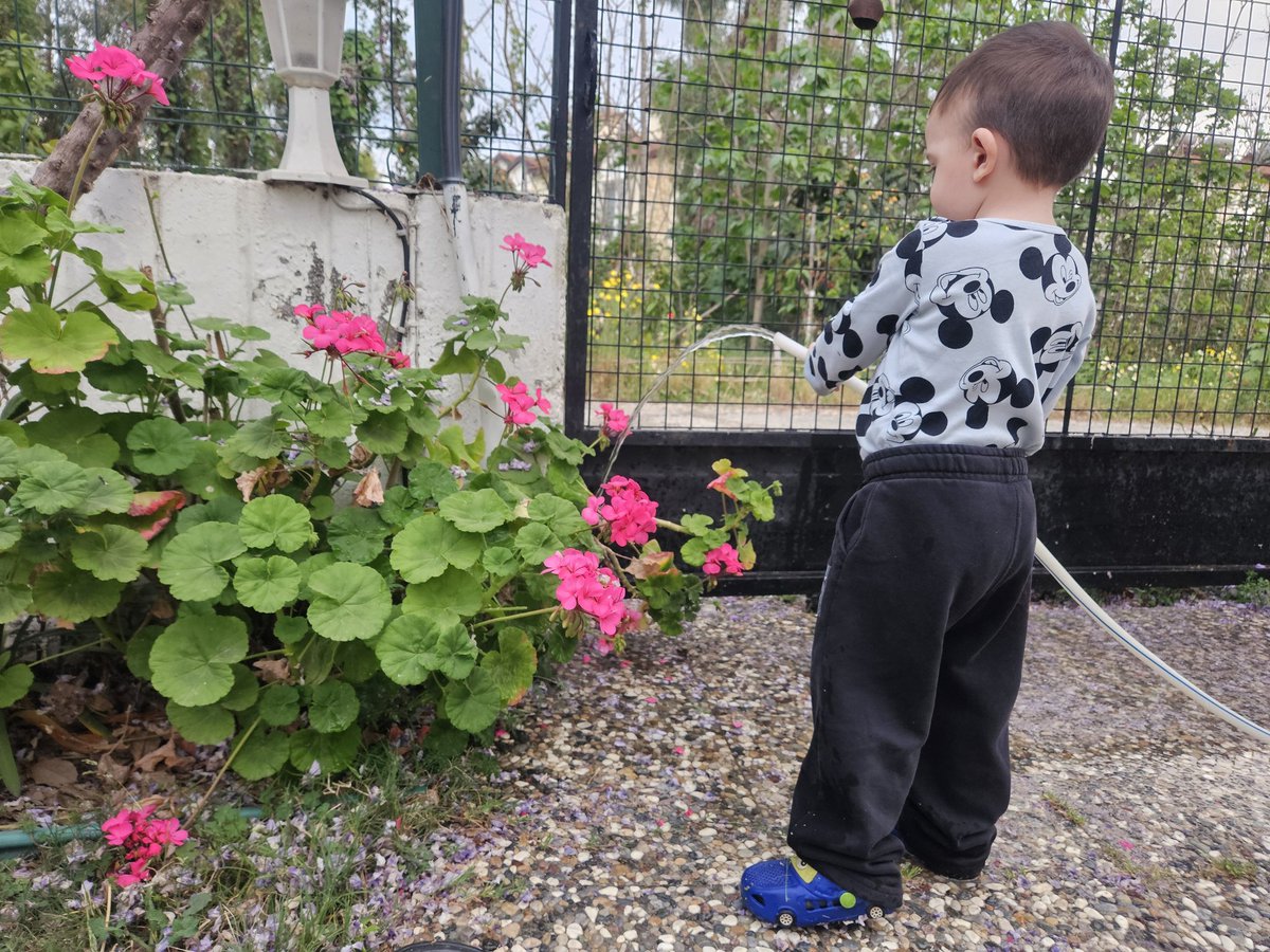 Sevgili başkanlarım <a href="/arasahmetmugla/">Ahmet Aras</a> ve <a href="/alimkaraca48/">Alim Karaca</a> öncelikle bayramınızı kutlarım. 
Rica etsem bu sene sivrisinekler için ilaçlamalara erken başlaya bilirmiyiz? 
Aras bahçe de daha cok vakit geçirmek istiyor. 🤗 Teşekkürler. 
<a href="/muglabsb/">Muğla Büyükşehir Belediyesi</a> <a href="/fethiyebelediye/">Fethiye Belediyesi</a> #Fethiye #Muğla