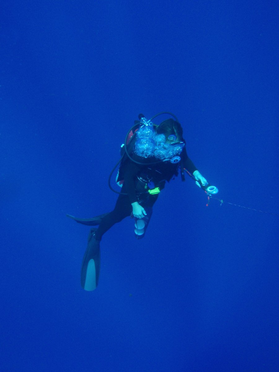 This is Homo sapiens, specifically my former graduate student Jamie Fergus, on what we call a 'blue-water dive'. This is scuba diving in the open ocean, typically over a hundred miles from land and over bottoms that may be 10,000 feet below. Visibility can be well over 100 feet.