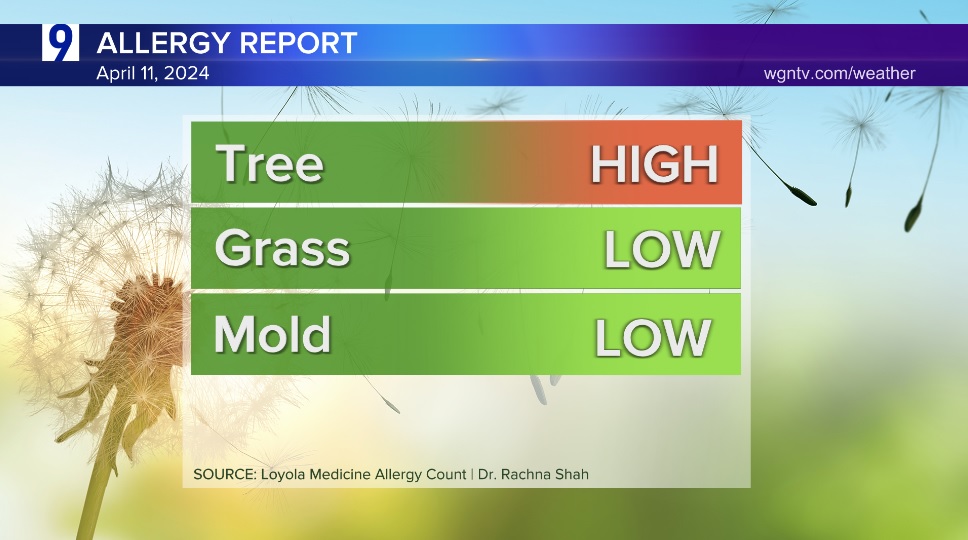 Tree pollen is still at a high level in today's Allergy Report. Cypress is the most prevalent. #Chicago