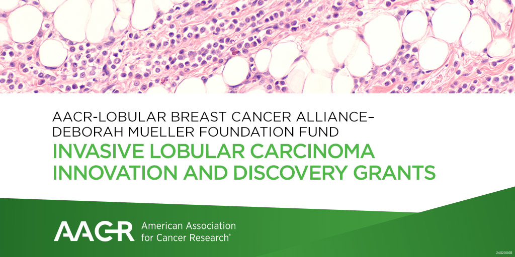 The AACR-@LobularBCA-Deborah Mueller Foundation Fund Invasive Lobular Carcinoma Innovation and Discovery Grants provide $50,000 over one year to develop creative ideas to encourage new treatment options for invasive lobular carcinoma. Apply by April 12: bit.ly/43WVbxd