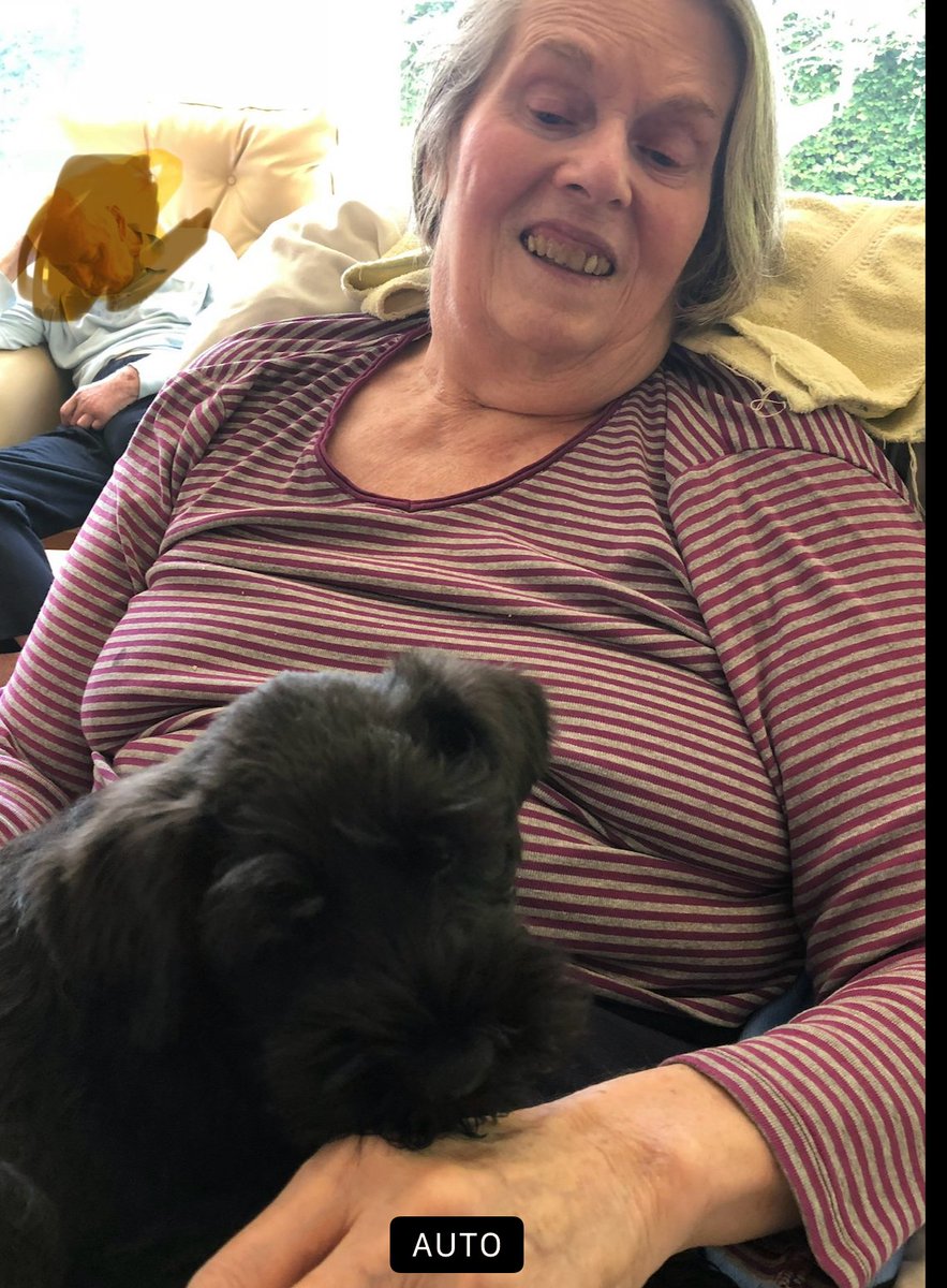 Never underestimate the power of the paw!!  When mum went into her #carehome Tintin came to live with me (he was 15!) he came with me every time to see mum, the joy he bought her obvious.  Then we got Max, well the same thing happened @rightsforresidents  #NationalPetDay2024