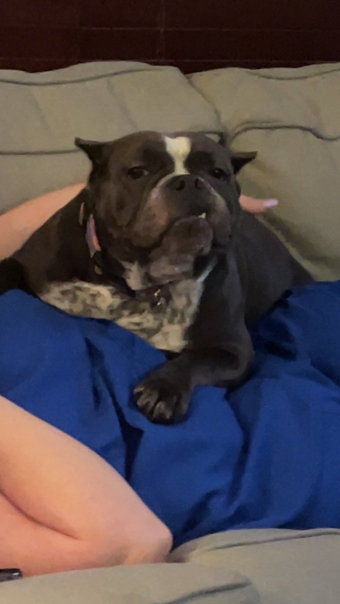 why billzos dog and my dog have the same name