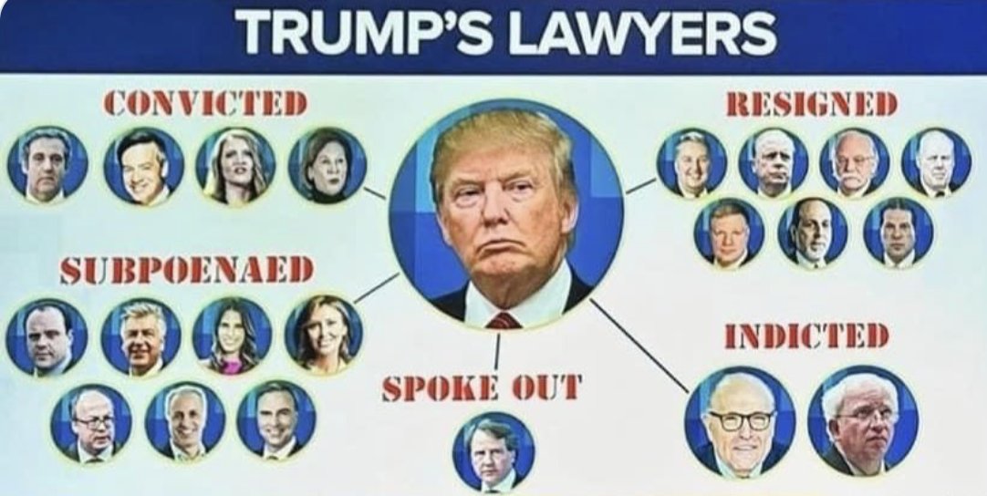 @TrumpDailyPosts Trump's legal scholars