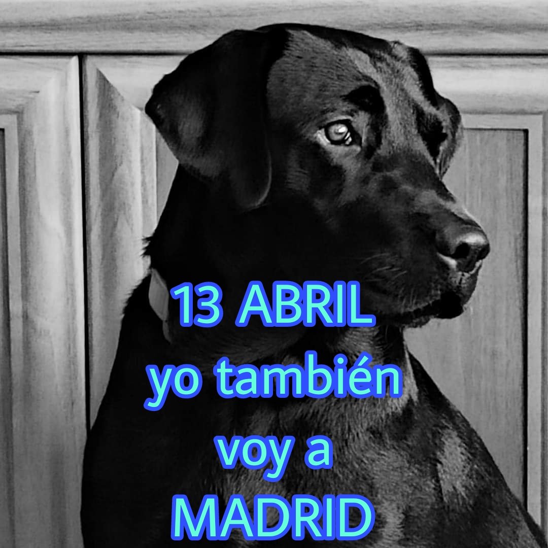 #Madrid día 13 Abril 11:30h C/Serrano a Ministerio 
#YoVoy13AMadridJ2
#ManifPasarelaJ2AlRETA
#AlRetaVamosTodos
#TurnoOficioDigno
#MovimientoJ2 
#Venia
#YoVoy13AbrilMadridJ2