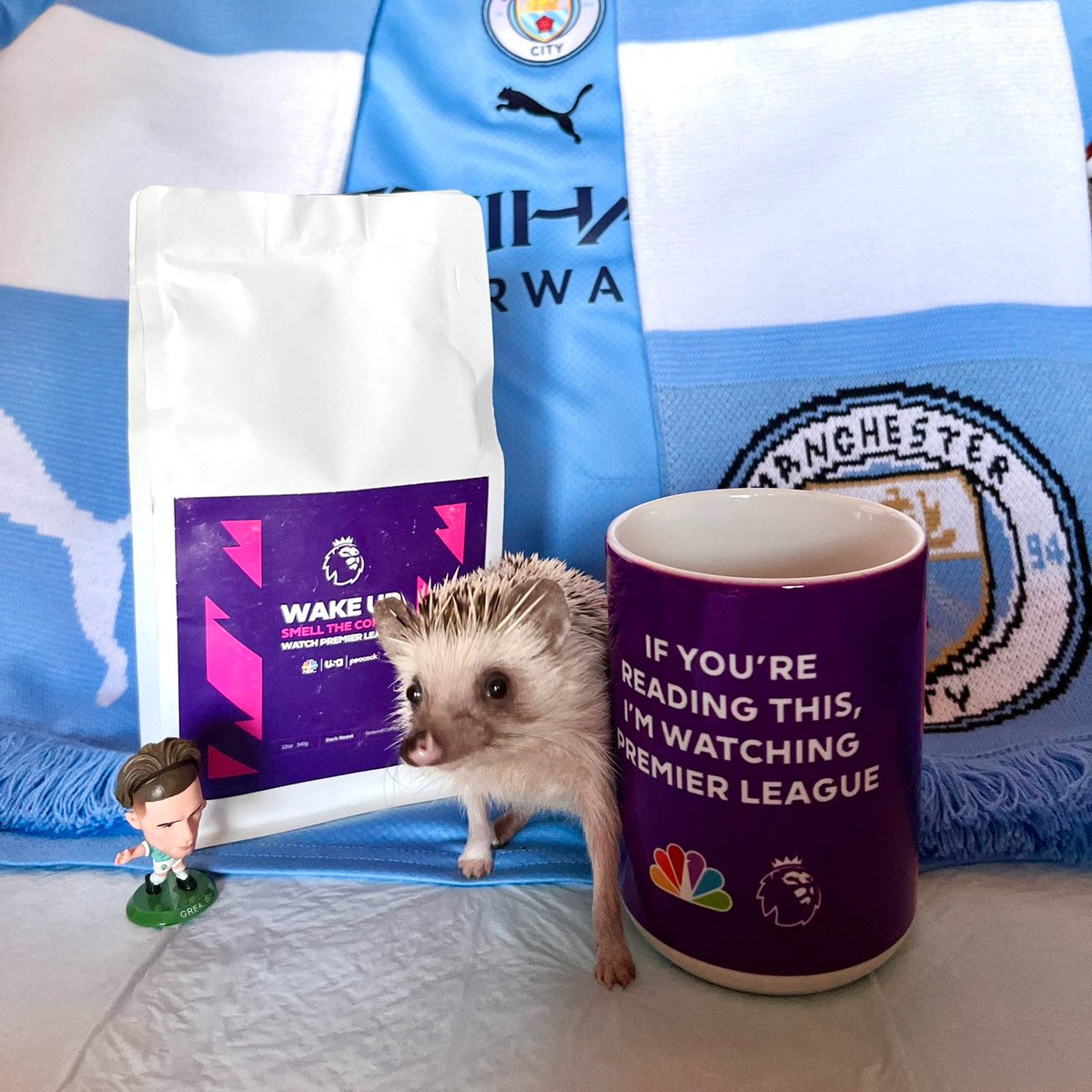 Happy #NationalPetDay to the pets of all shapes and sizes that get up early with us for PL Mornings 😆❤️ If you got photos of your pet, we wanna see them! 👇
