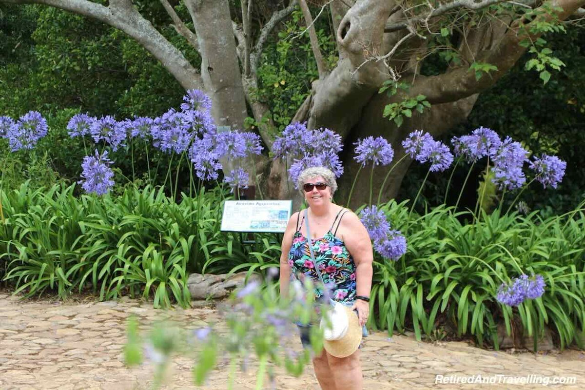 Relax in Kirstenbosch Gardens in Cape Town, South Africa. retiredandtravelling.com/relax-in-kirst… @KirstenboschNBG @CapeTown