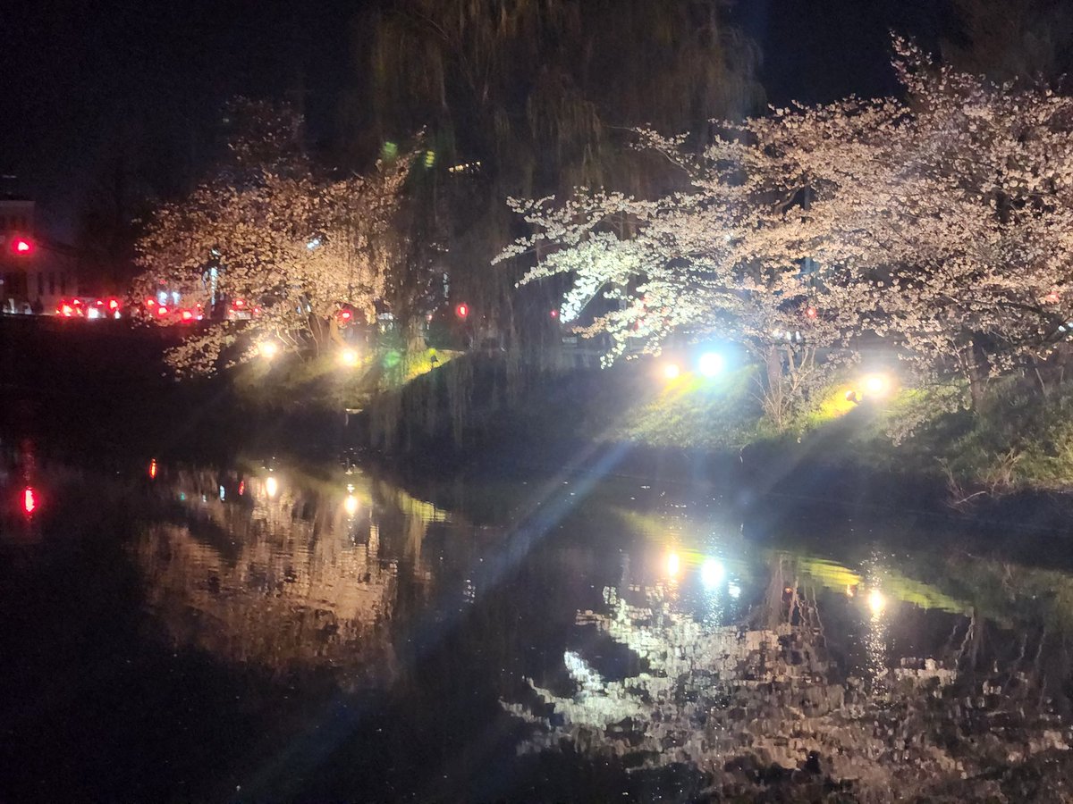 国宝 松本城 夜桜会
お堀のライトアップ もとても綺麗です
この週末が一番の見頃になりそうなので おすすめです
日本のお城は桜と本当によく合うと思います