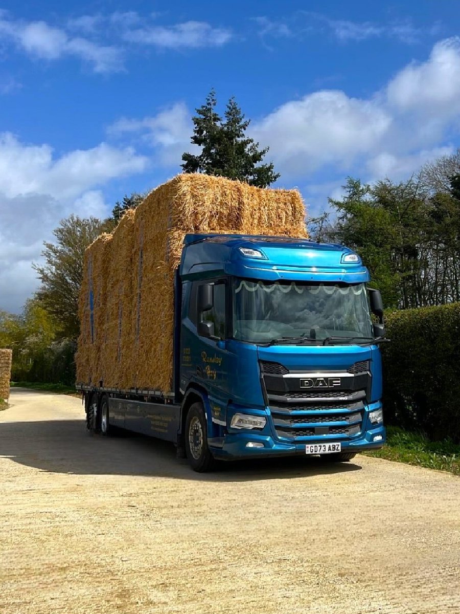 Some further work to this DAF XD, owned by Ransley Hay. 👌 Who can tell us what's been done to it since our last share? 🕵️ 📸 @bartek_e38 #DAFXD #DAFTruck #Truck #Goals