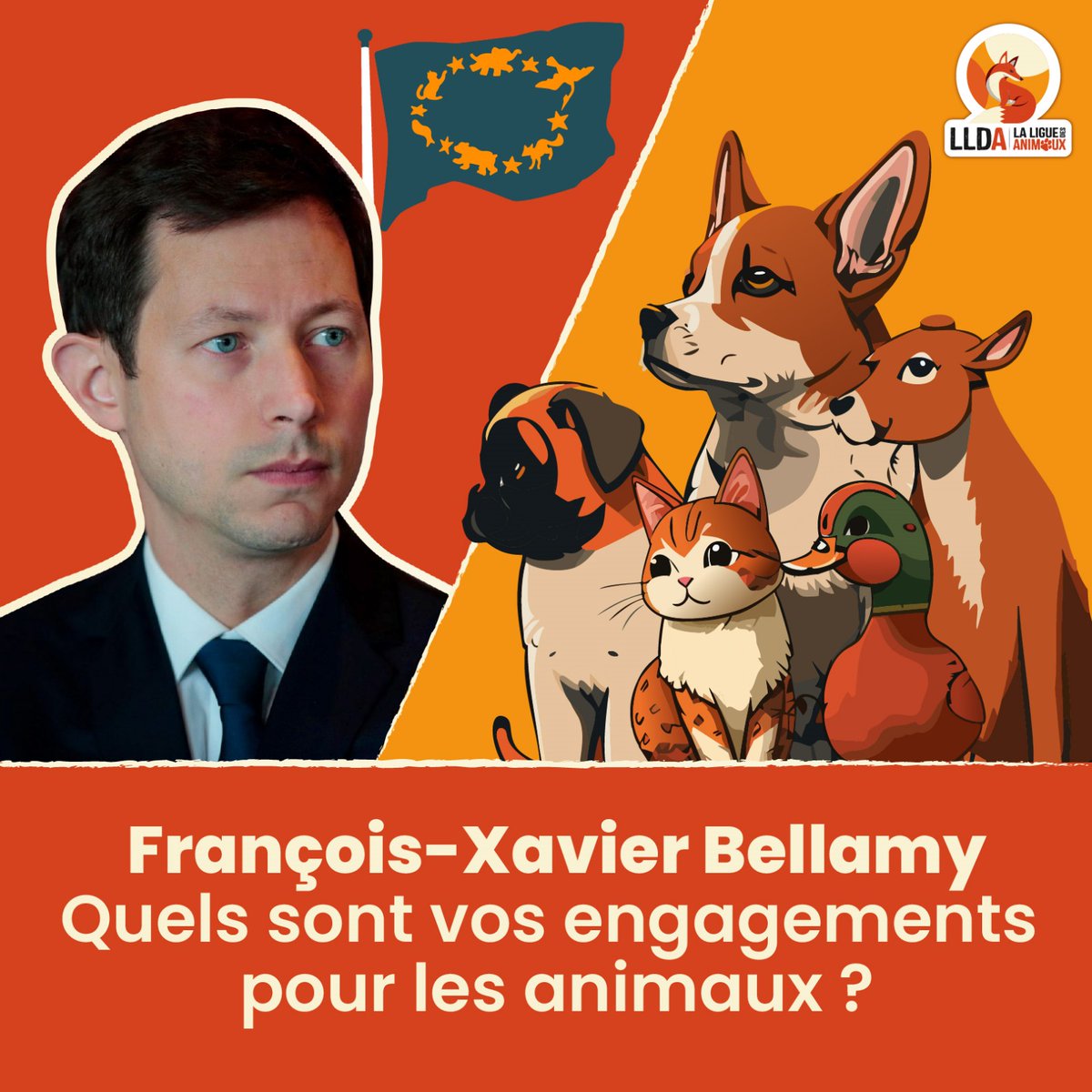 La Ligue Des Animaux demande à @fxbellamy de se positionner sur la condition animale en remplissant notre charte. Quels sont vos engagements pour les animaux ? #ElectionsEuropéennes2024