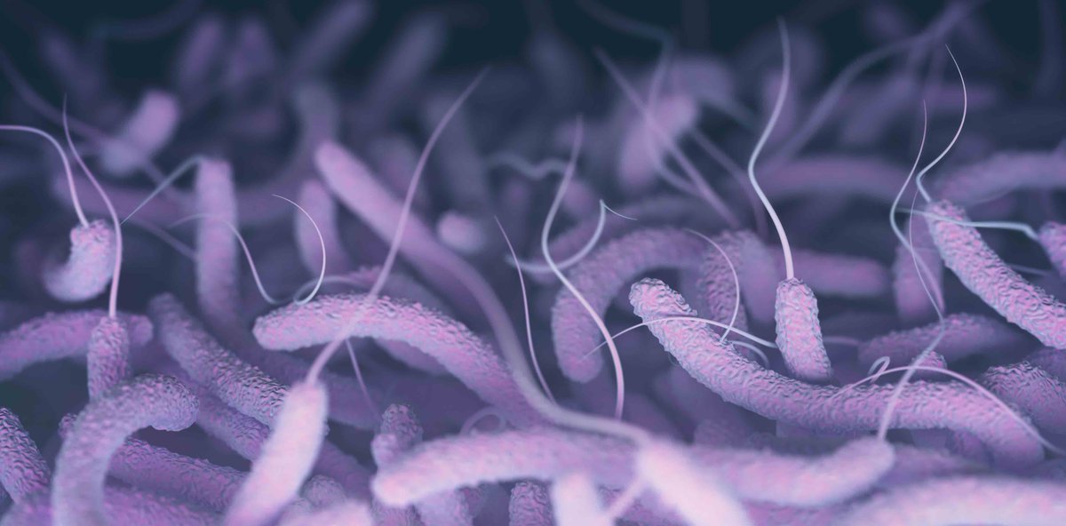 Antimicrobial resistance may evolve more rapidly than previously thought |  In a  study in <a href="/NatureCatalysis/">Nature Catalysis</a>, a team led by <a href="/AdrianBunzel/">Adrian Bunzel 🇪🇺🇨🇭🇩🇪🏳️‍🌈</a> <a href="/BPL_ethz/">Panke Lab</a> and <a href="/chrfrohlich/">Christopher Frøhlich 🇪🇺🇳🇴🇨🇦🇩🇪🏳️‍🌈</a> <a href="/UiTNorgesarktis/">UiT Norges arktiske universitet</a> revealed a novel mechanism for how resistances can emerge alarmingly fast &gt;u.ethz.ch/fNMrR