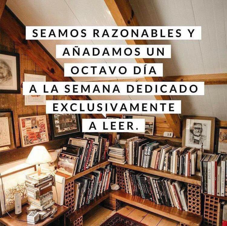 amorenloslibros's tweet photo. 📚📚📚 https://t.co/WK2Yp1m8Oy