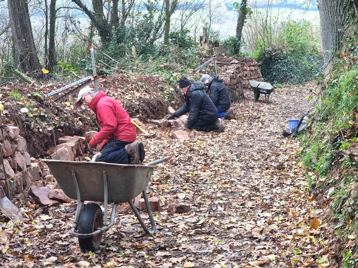 Volunteers on the Holnicote Estate have restored a centuries-old dry stone wall, stretching 75 metres along Back Lane in Selworthy. The project began a year ago, with the skilled team of seven working through the seasons - we'd like to say a huge thank you for their hard work 👏