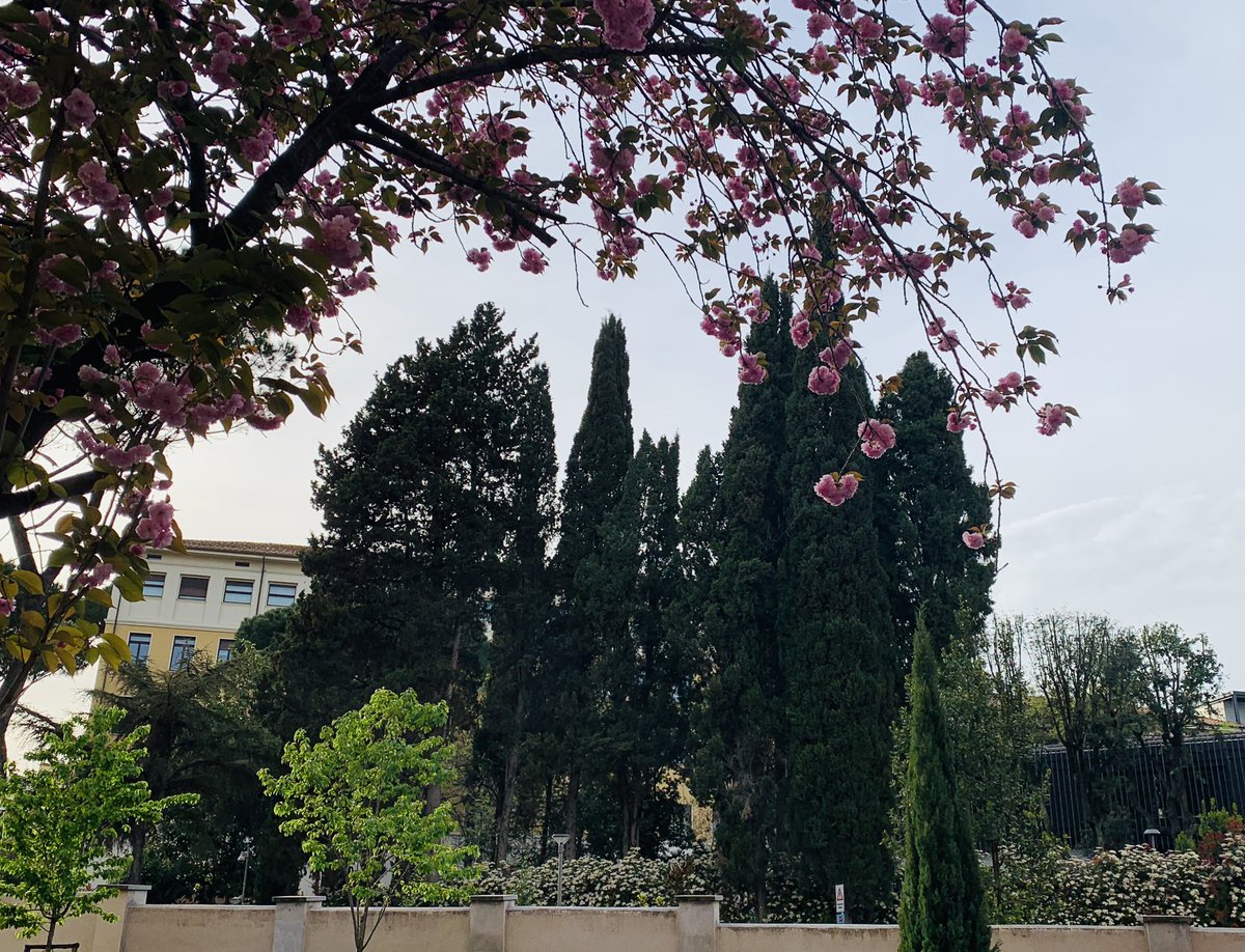 SEAO2-CDR tweet media