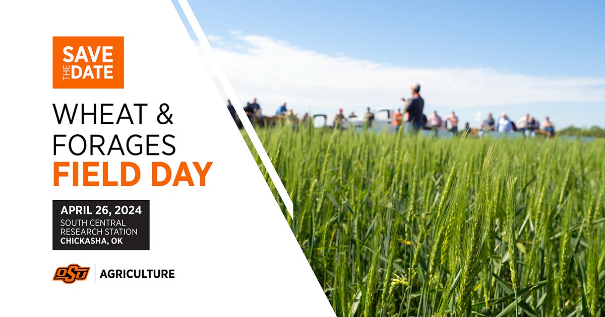 Registration for Wheat and Forages Field Day is open! 🌾 Topics include wheat varieties, herbicide trials and more. Lunch provided by @OKAgCredit. Check-in starts at 8:30 a.m. at the South Central Research Station in Chickasha. Register for free ➡️ okla.st/3xyEiNa