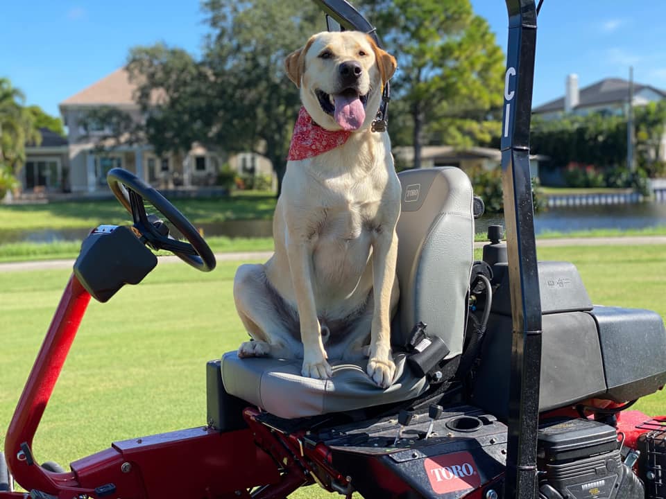 There's no better way to celebrate National Pet Day than with a golf course pup feature! Thor calls Renaissance Vinoy Resort And Golf Club home and is clearly picture perfect! Thank you to Jon Betts for sharing this superhero of a pup with us! #nationalpetday #golfcoursepup…
