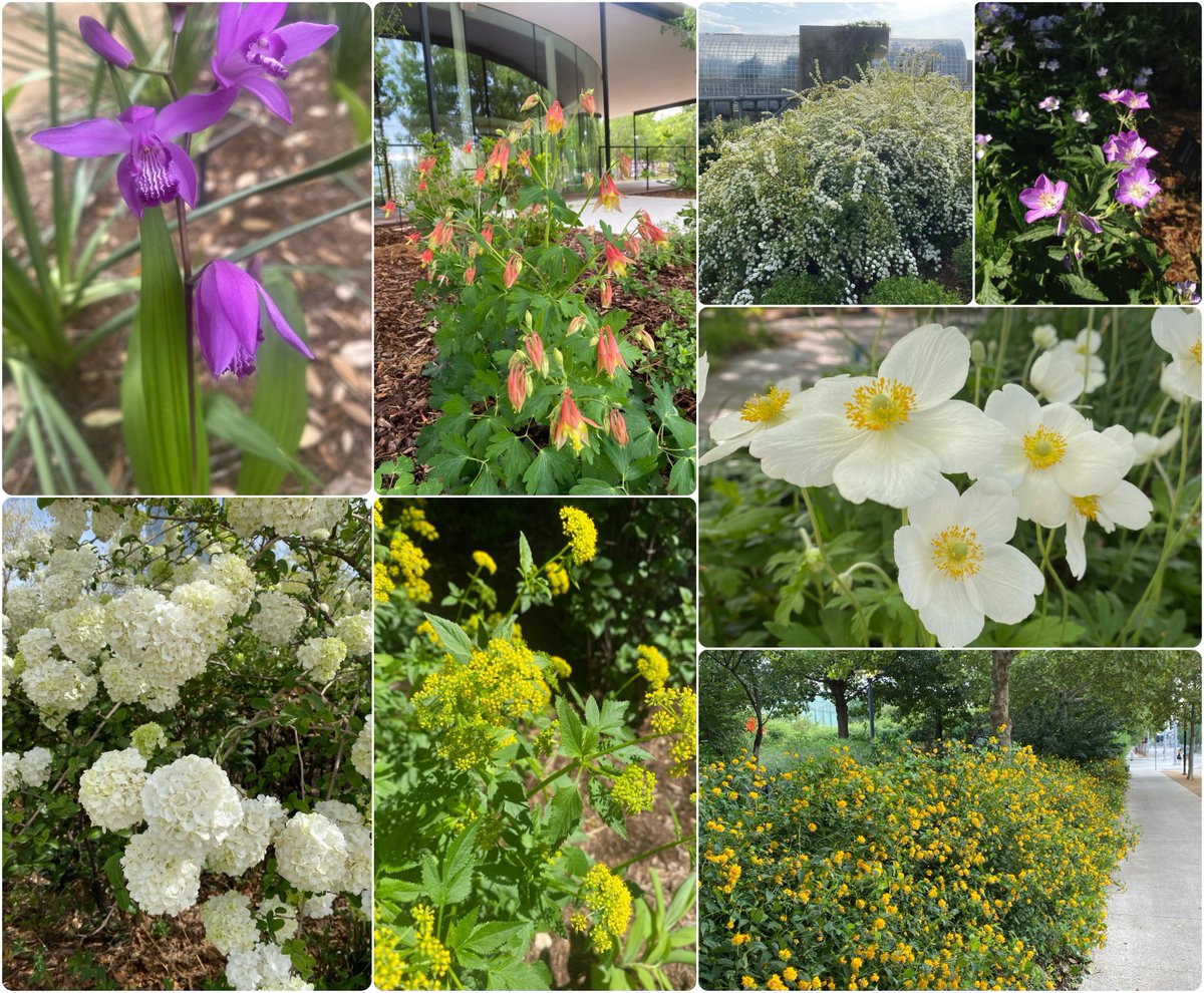 📢🪻🌼Join our horticulture staff for the FREE Guided Gardens Tour on Friday (tomorrow) at 1 p.m. Meet in the lobby. April is a great month for our tours. After the tulip season, the next round of blooms is amazing. They're diverse and inspiring for your home. Featured on the…