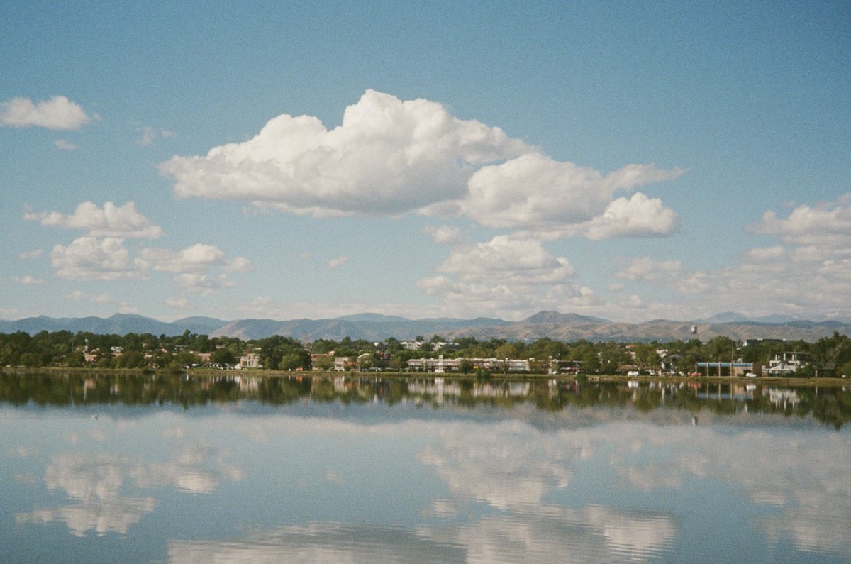 kannabis tweet media