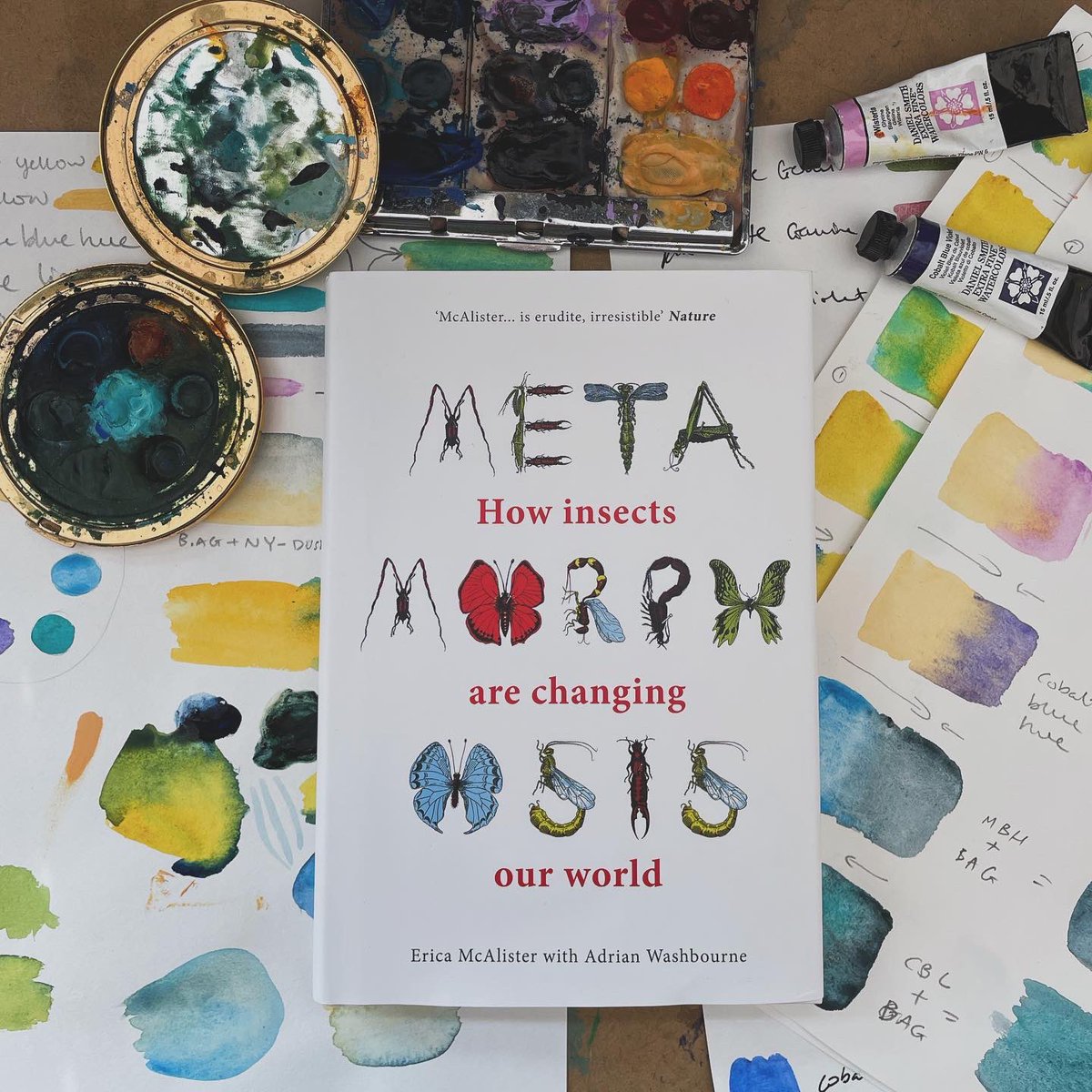 Just received my copy of #Metamorphosis - how insects are changing out planet and I can’t wait to get stuck in! @flygirlNHM thanks for the copy! ✌️ 🪲🐞🐛🦟🐜🕷️🪳