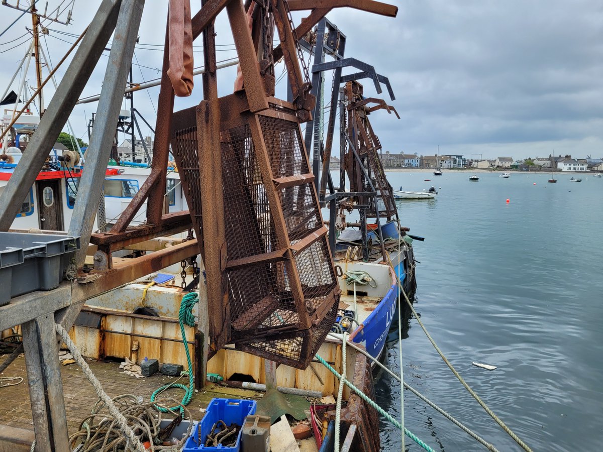Least you think small fishing boats can do no harm - dredging for razor clams involved dragging a cage across the sea floor and pumping water into the sand to eject all the life. We are told that 'most dredge effort is by vessels <12m', i.e. small boats. But this needs to stop