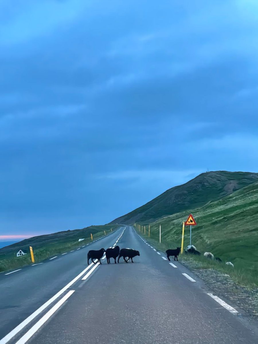 Traveling is not you're good at. It's something you do, like breathing.
#Nordic #travel #landscape #casual photography.