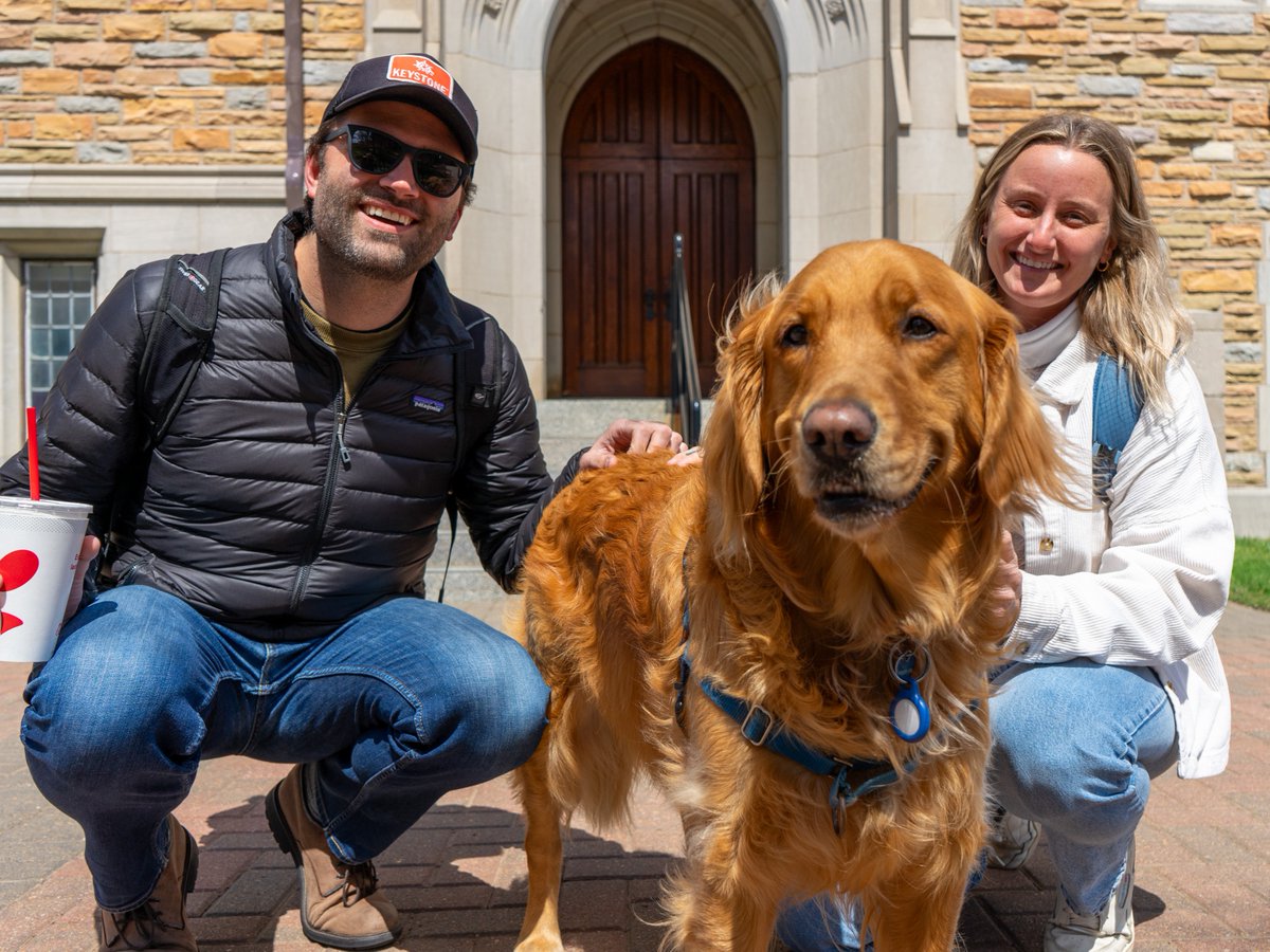 Happy National Pet Day! 🐾 As the @utulsa canine ambassador, I think that I'm the luckiest pet in the world 🌎 #goldenretriever #tulsa #utulsa #nationalpetday #pets