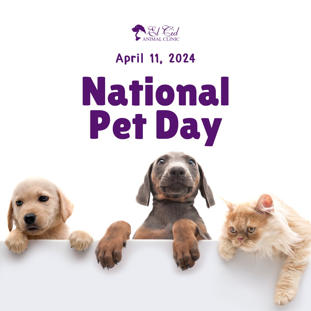 🐶 🐱 Happy National Pet Day! 🎈 Today, we celebrate the unconditional love and joy our furry friends bring into our lives. 🌐 elcidanimalclinic.com #ELCidAnimalClinic #Cat #Dog #PetLove #Pets #PetDay #NationalPetDay #LoveYourPet #FurryFriends