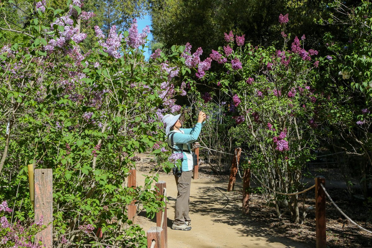 DescansoGardens tweet picture