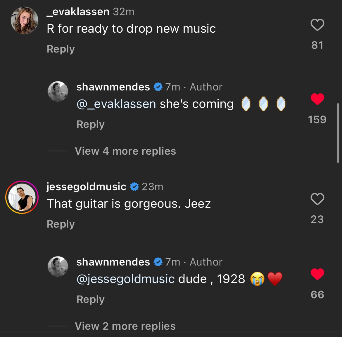 SHAWN REPLIED TO SOME COMMENTS UNDER HIS IG POST!