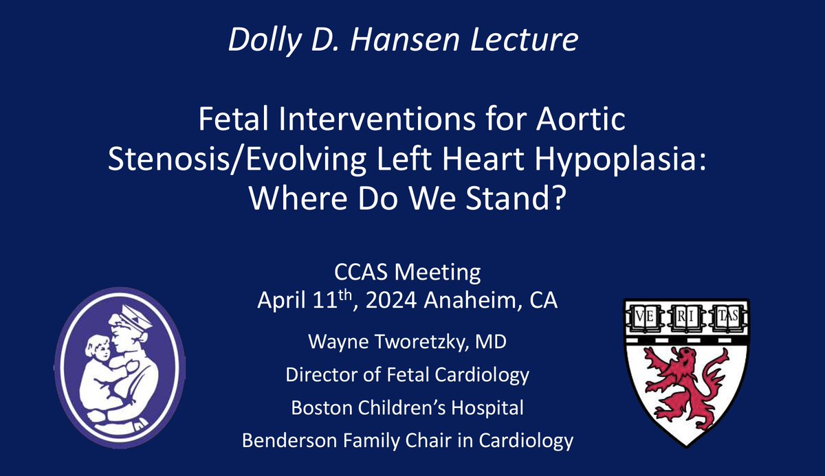 The Dolly D Hansen Lecture is a highlight of the CCAS annual meeting every year. This year, the lecture is being delivered by the Director of Fetal Cardiology at Boston Children's Hospital, Dr. Wayne Tworetzky. #CCAS24 #PedsAnes24