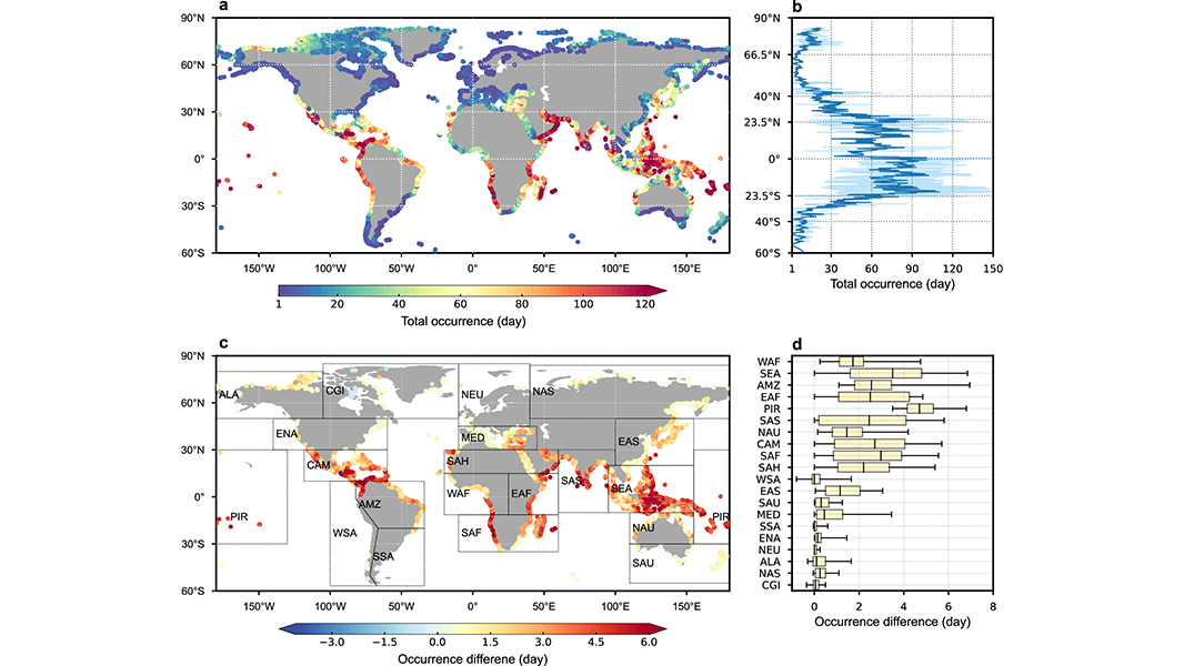 Concurrent occurrences of heatwaves and extreme short-term sea level rises at the same coastal locations significantly increased between 1998 and 2017 when compared to the preceding twenty years, according to a study published in @CommsEarth. go.nature.com/3VVx3cb