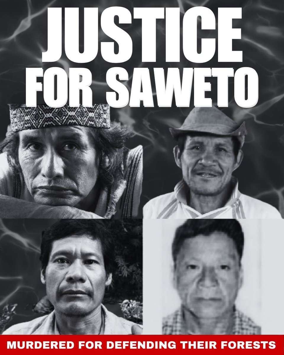Deforestation not only destroys forests, it also kills people. A verdict is expected in the landmark Saweto case, marking a critical moment for the region, as well as for threatened environmental defenders worldwide. #JusticiaParaSaweto #JusticeForSaweto