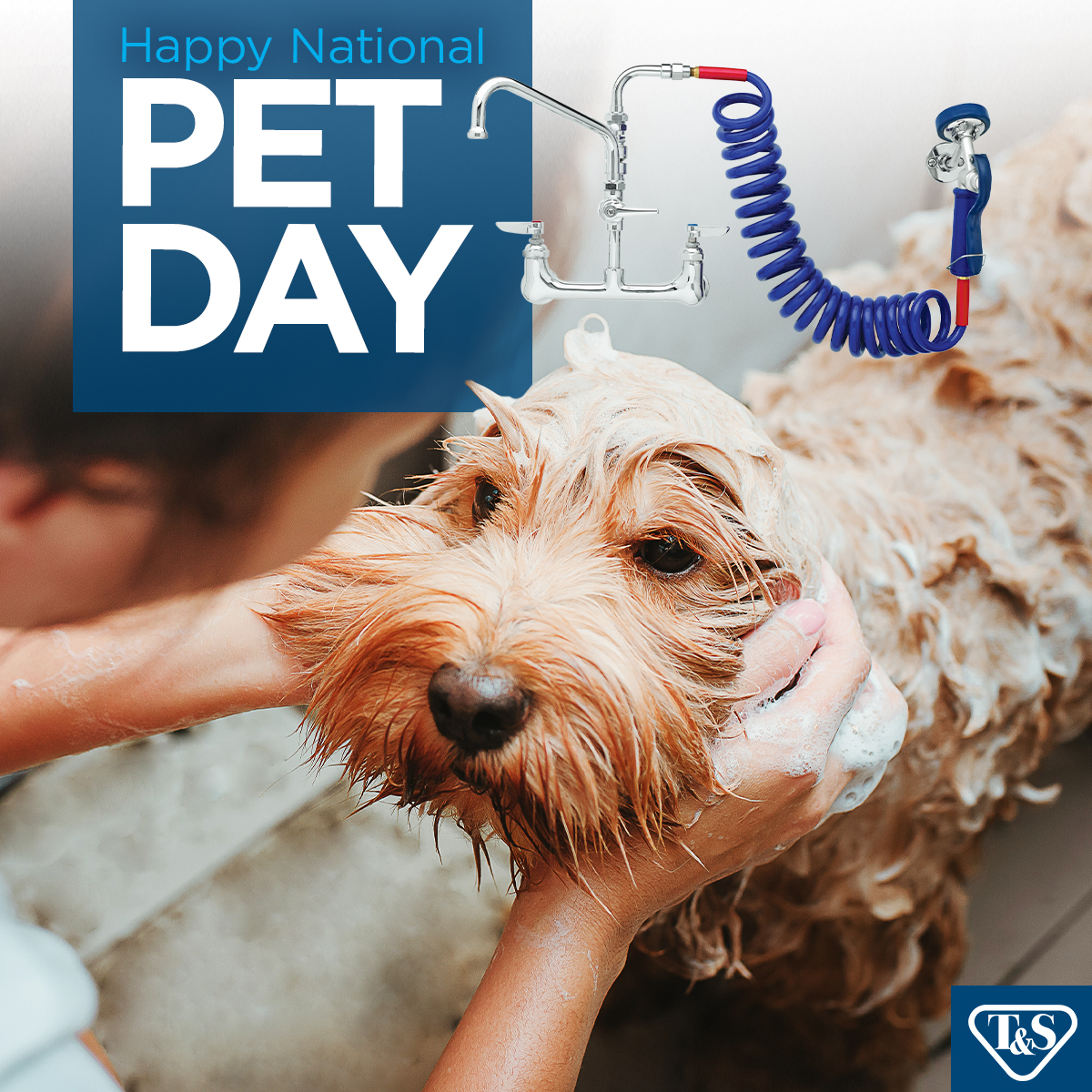 🐾 Happy National Pet Day! Celebrate the bond between pets and their humans with T&S's durable and innovative pet products. From cutting-edge hose reel systems designed to faucets with sprayers - we've got it covered. bit.ly/3P1r6Ga #NationalPetDay #PetProducts