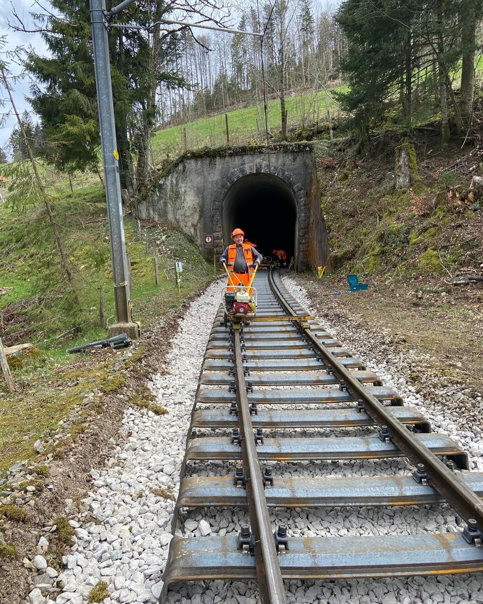 SBBTrainDriver's tweet photo. Une partie de l'infrastructure de la ligne Le Locle - Les Brenets est renouvellée alors que la ligne devait initialement voir passer son dernier train il y a 4 mois 🥹🥹

J'aime ça ❤️

(📸 Images du compte Insta de Transn) https://t.co/7TKKbORy2g