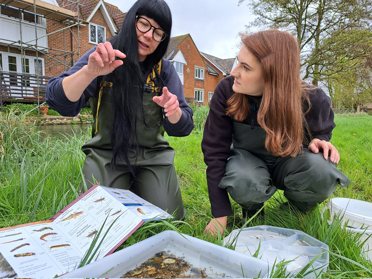 In the Kennet this morning recording a podcast with @UK_CEH about @Riverflies We're the Riverfly Hub for the Kennet & Pang catchments. Riverfly monitoring is a successful national citizen science initiative, nationally 68 trigger level breaches were picked up in 2023.