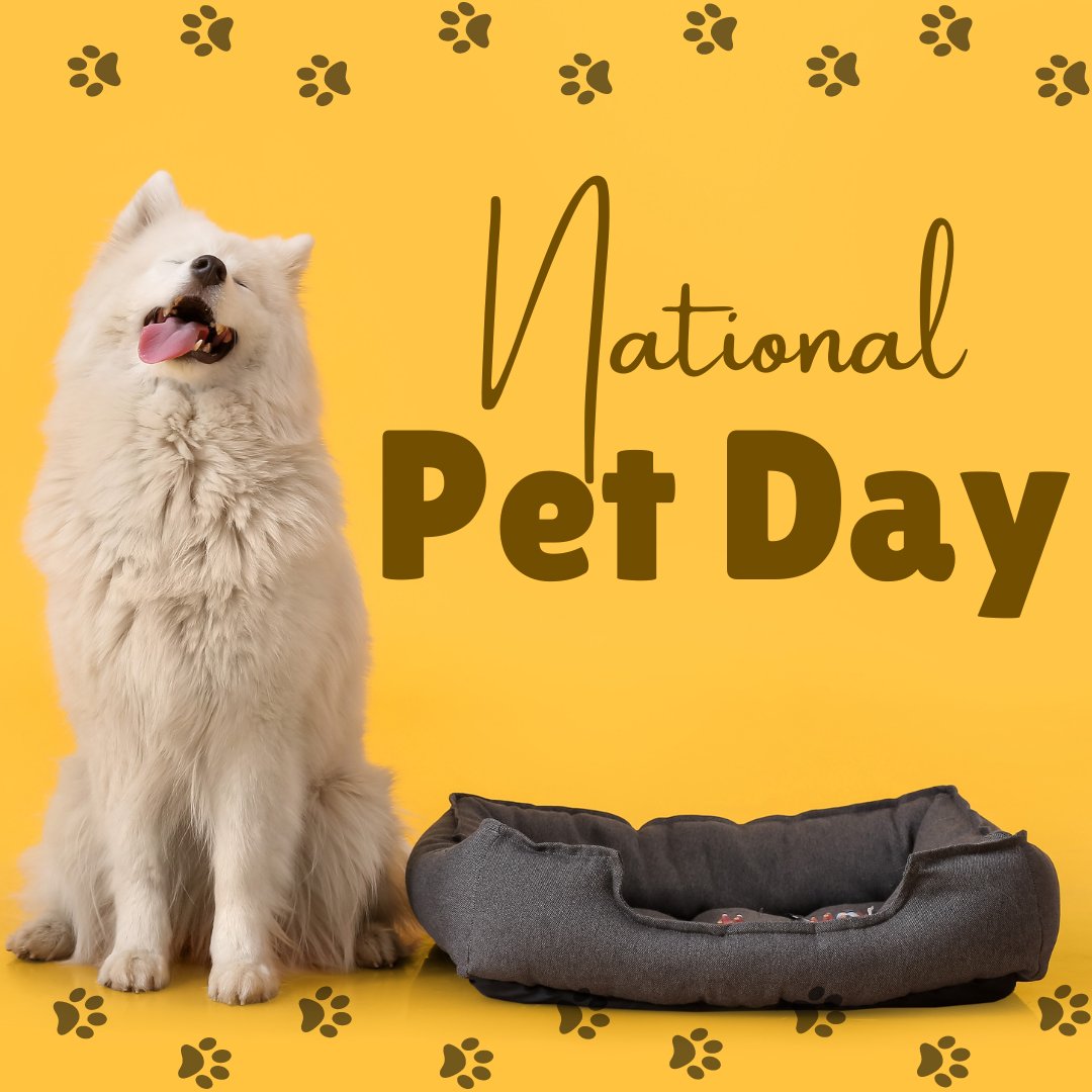 Happy National Pet Day! Today, we celebrate the joy, love, and companionship our furry friends bring into our lives. Share a pic of your adorable pet and let's celebrate the love they give us every day!  

#NationalPetDay #FurBabies #TKCHoldings