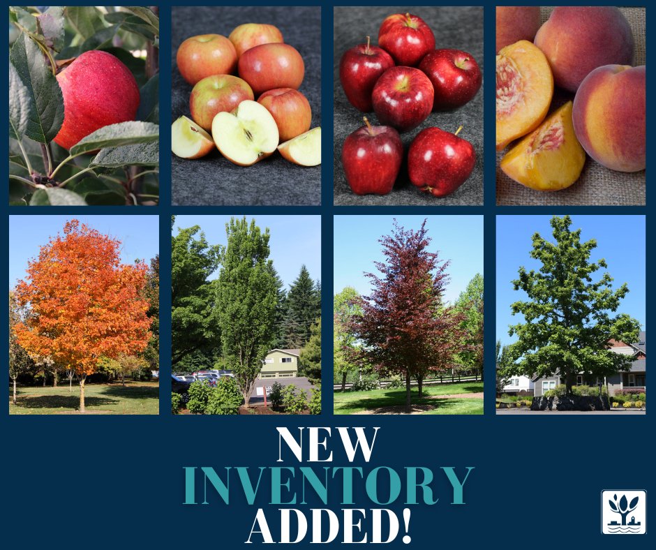 It's a peachy keen day, because we have some apple-ing, we mean, appealing, news . . . we've added a variety of apple and pear trees to the 2024 tree sale! Don't wait - inventory is getting low! Shop the sale until 5 p.m. on 4/17, at naperville.il.us/2024-tree-sale.