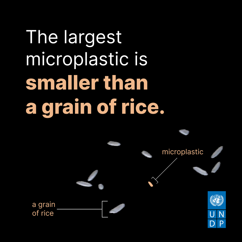 DYK that humans swallow up to 5 grams of microplastics in a week? That's about the weight of a credit card 💳. Discover the real costs of plastic production and what's needed to #BeatPlasticPollution: go.undp.org/1ccL #INC4