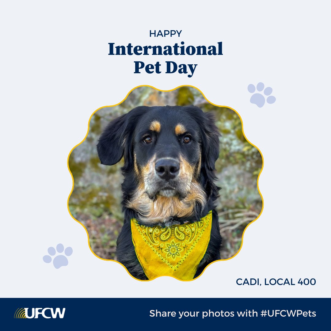 Happy #NationalPetDay Pets are a part of your family, so why wouldn't they be a part of our UNION family? Join in on the fun, and share your photos using #UFCWPets!