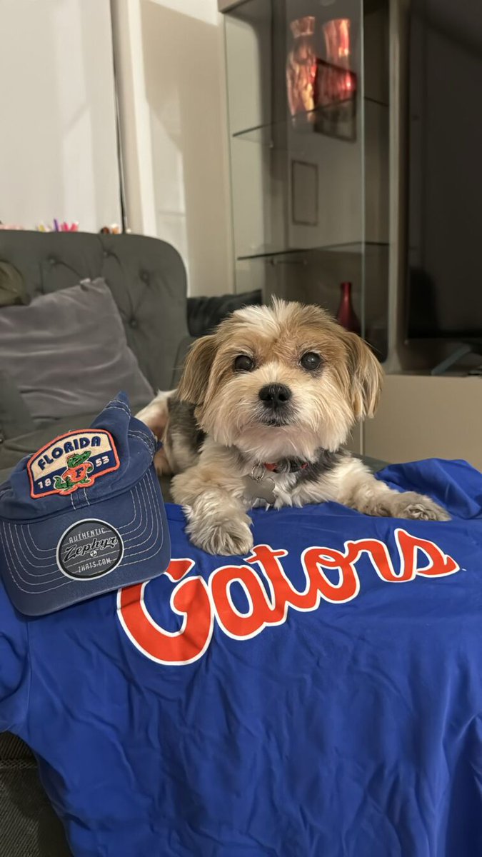 Happy #NationalPetDay from these #GatorPets! 🐶
