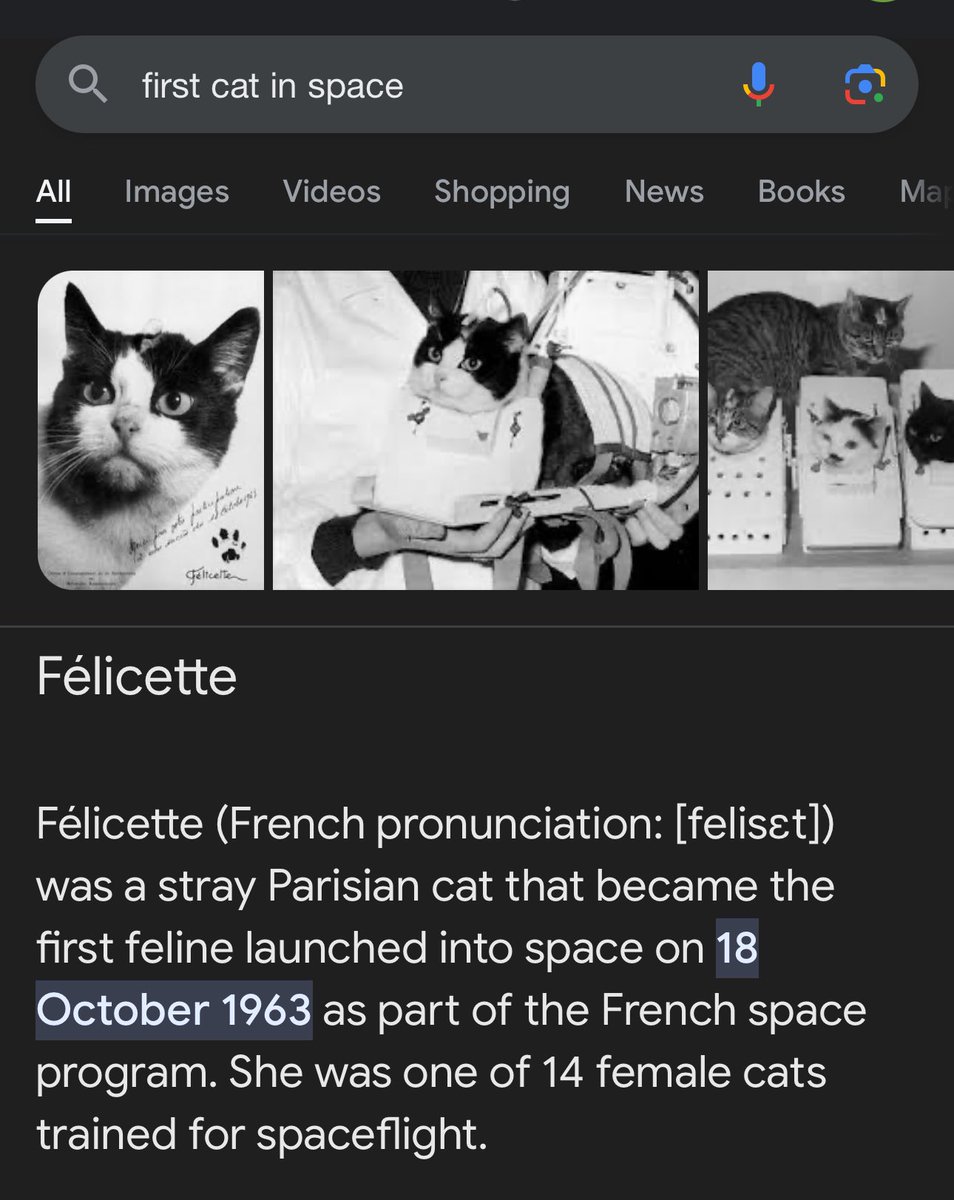 Felicette tweet media