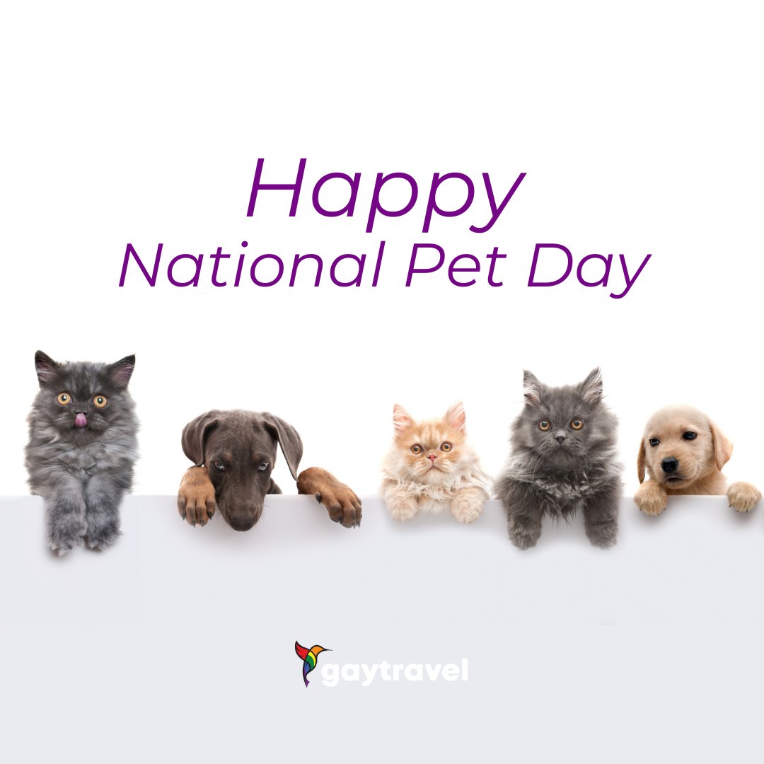 Happy National Pet Day to our fellow fur-pawrents 🐾The number of pet-friendly hotels continues to increase, which makes us so incredibly happy! Today and every day we celebrate these GayTravel Approved, pet-friendly hotels and resorts: gaytravel.com/gay-blog/bring… #nationalpetday