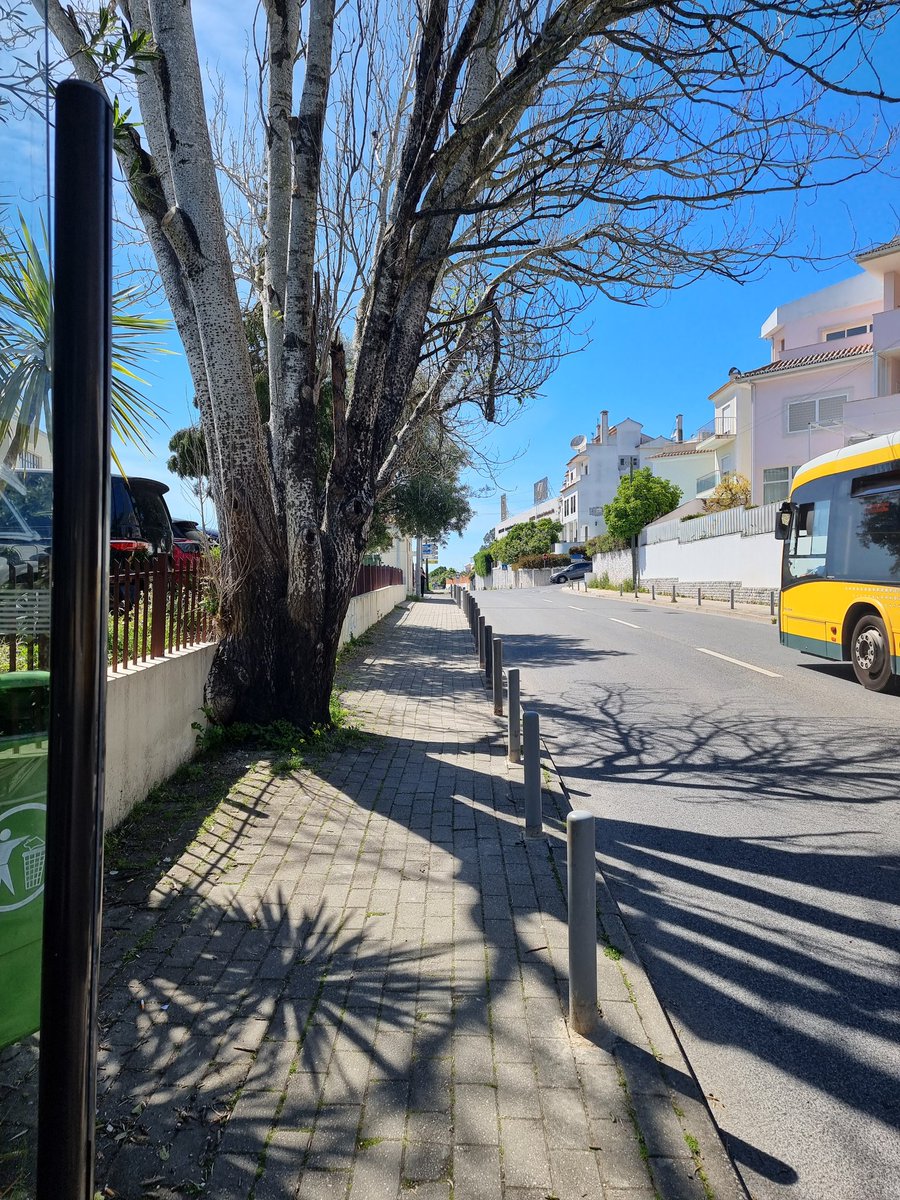 Vou contribuindo para pequenas mas relevantes mudanças. Neste passeio estacionavam carros prejudicando o acesso de peões a esta paragem de autocarros. A JF Alfragide foi alertada e colocou pilaretes.👍👍👍