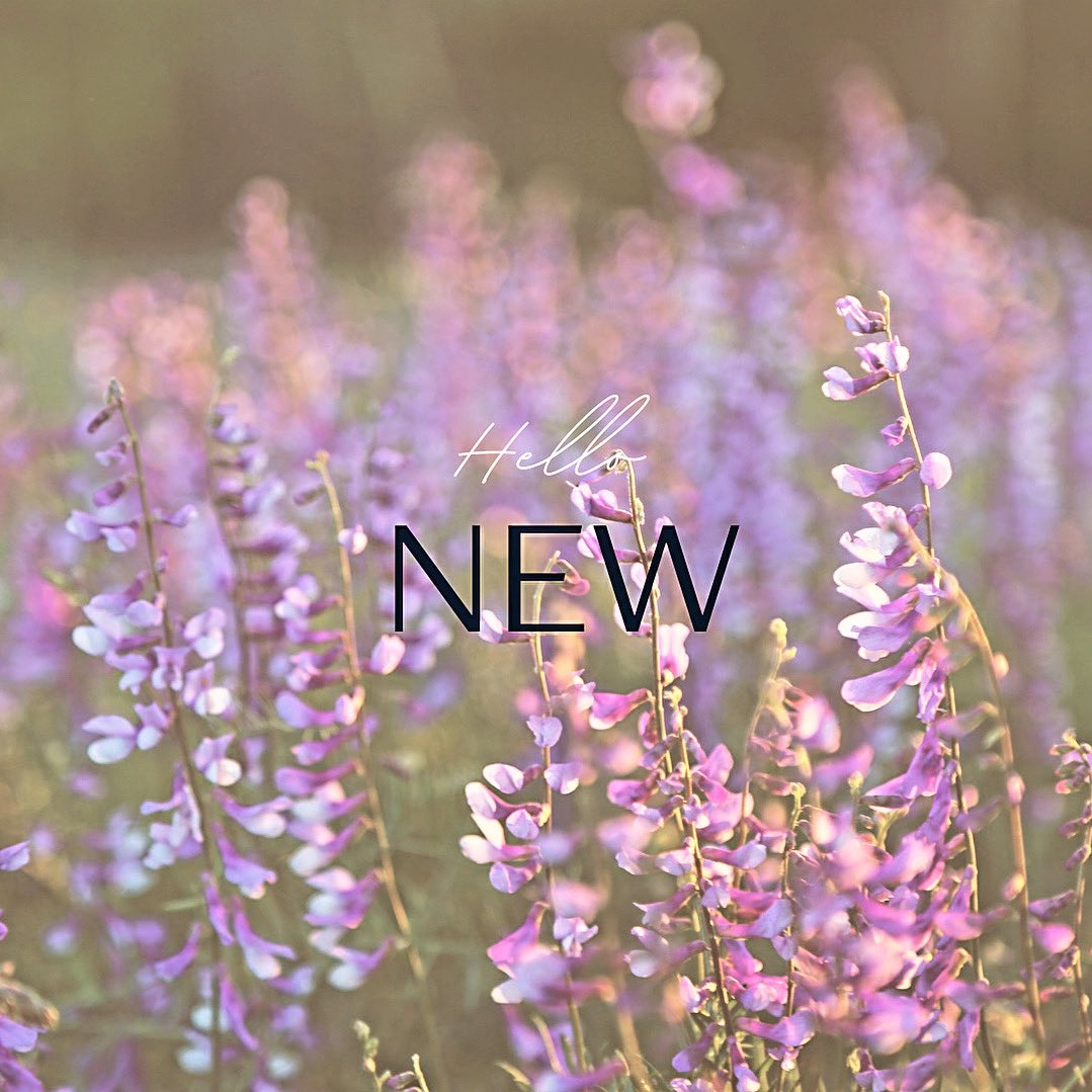 Tailend St Andrews tweet media