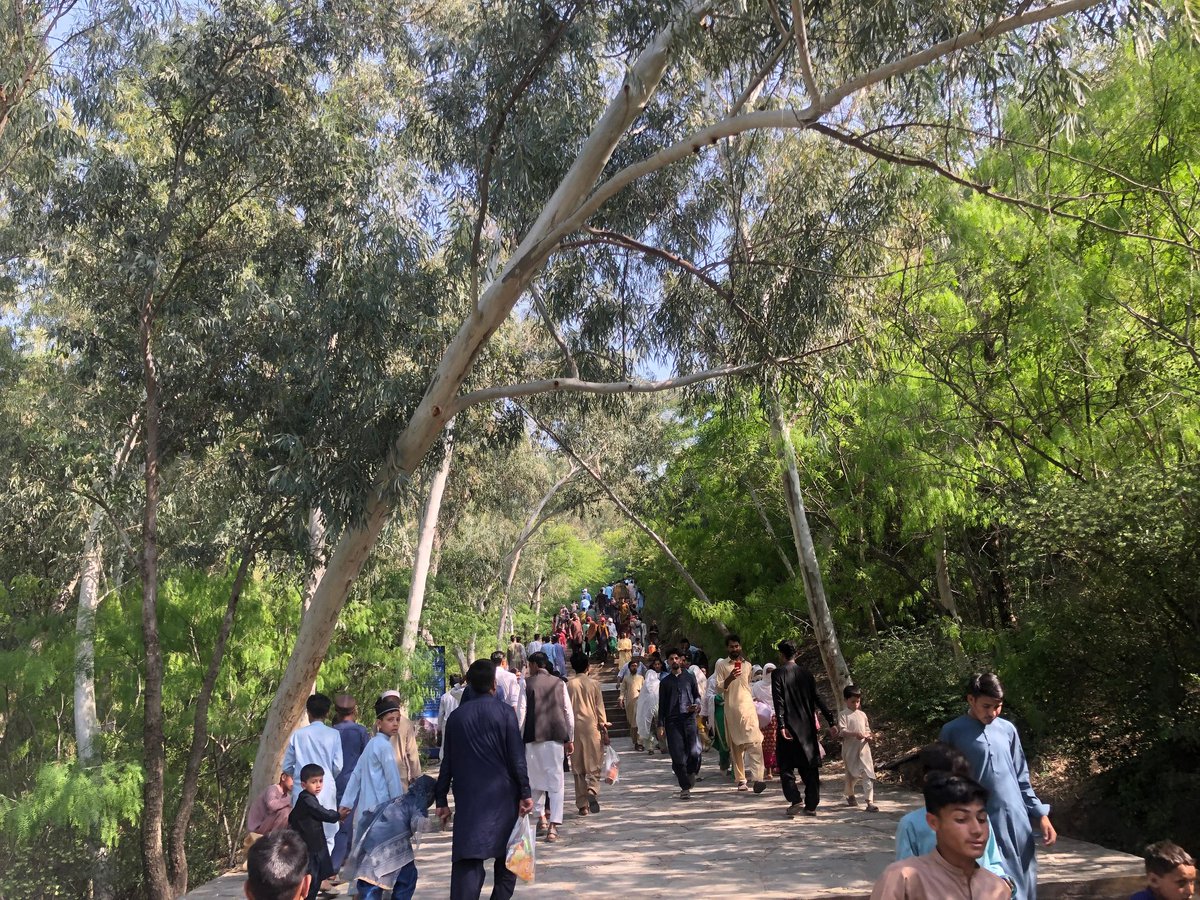 Today 11,000 local tourists visited Takht-I-Bahi world heritage site. The average per year is 10,000 tourists. @KPDOAMOfficial is doing a great job to protect, preserve & promote KP's rich heritage. @GovernmentKP