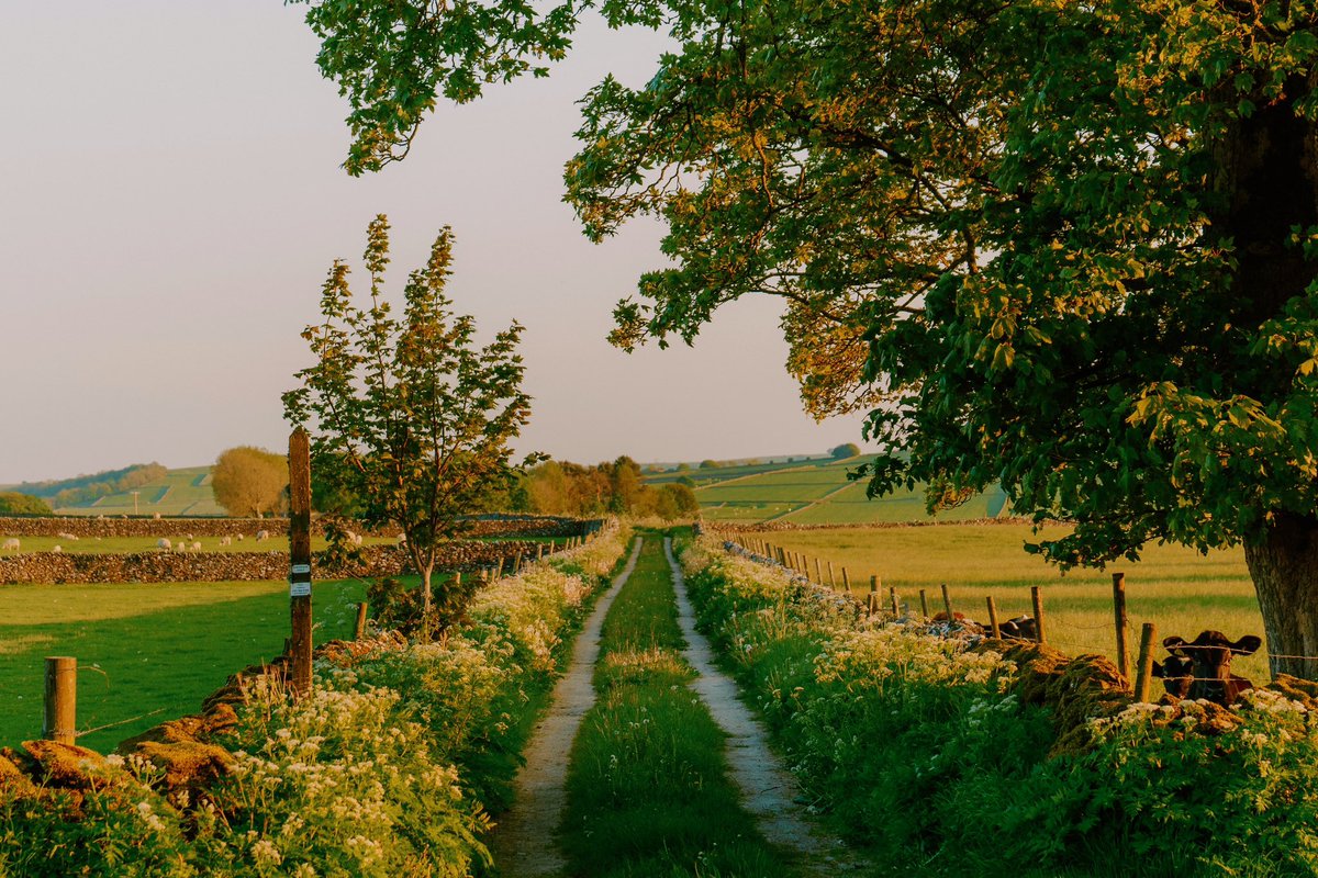DanielCasson1's tweet photo. Warmer evenings 🍃 // https://t.co/EYn3beBlve
