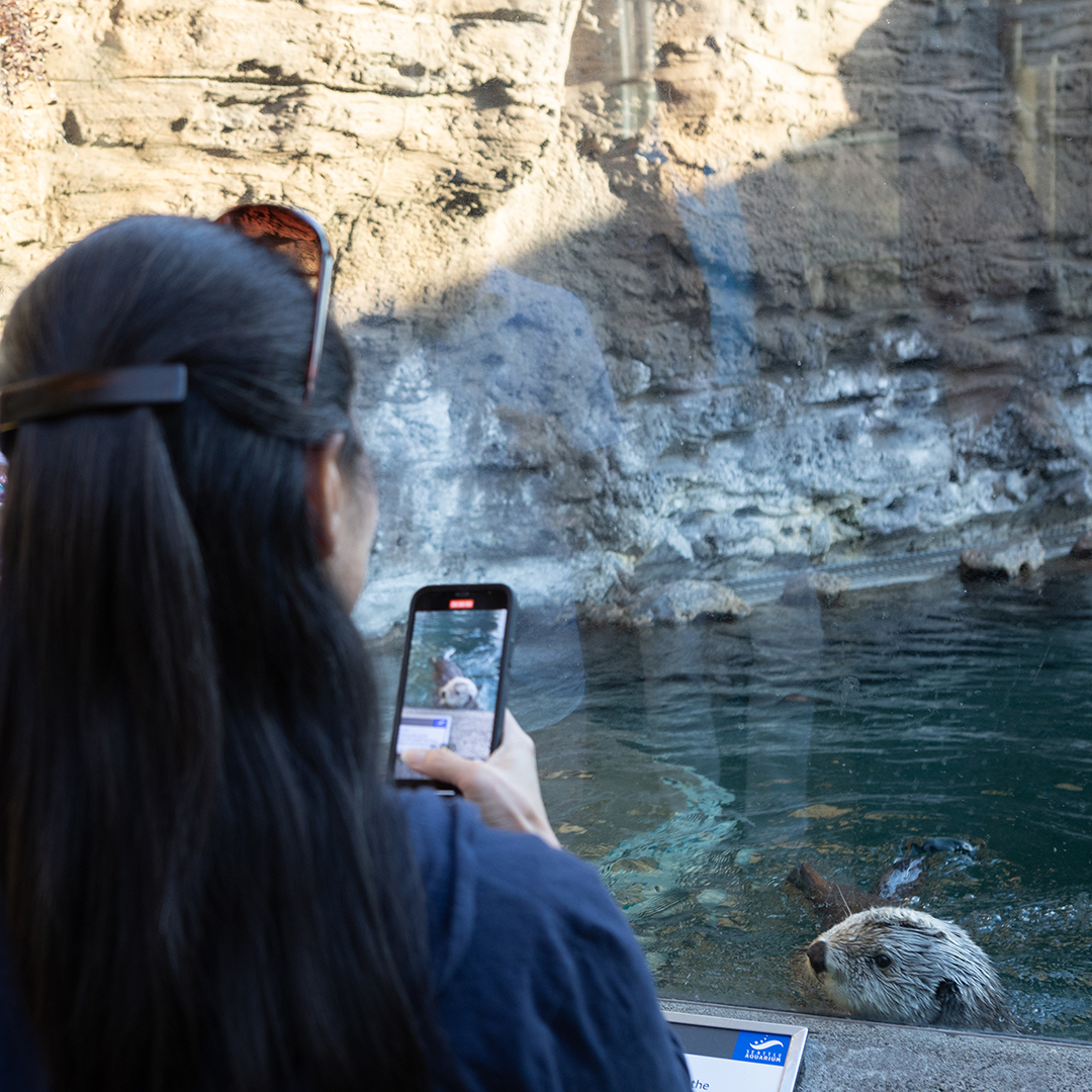 SeattleAquarium tweet picture